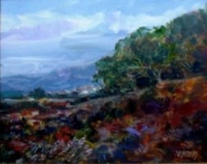 73-Arredores de Campinas - 25 x 35