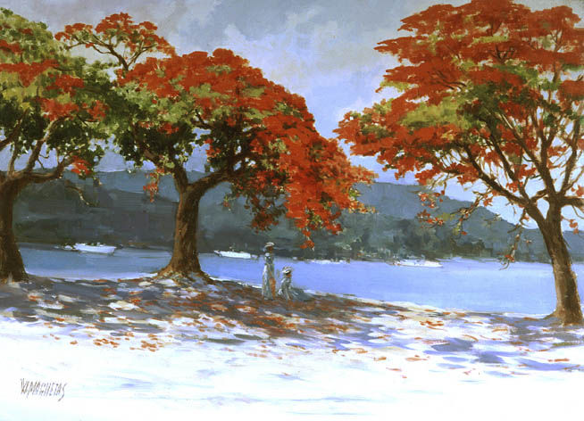 067-Flanboyan_em_ilha_bela.big